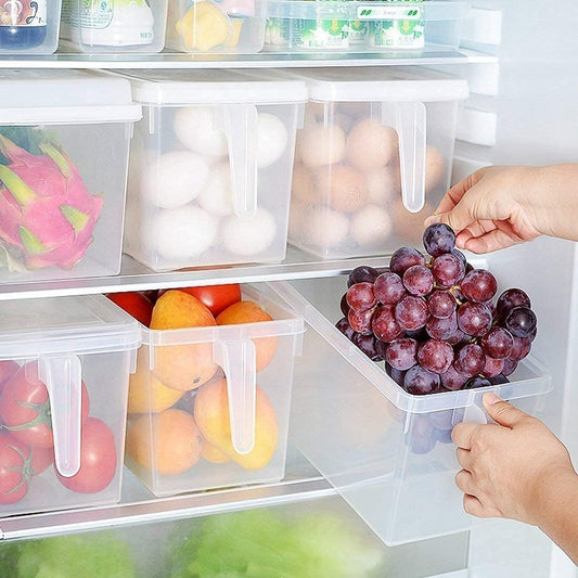 Kitchen Fridge Organizer Box with Lid, 5L Capacity, 1 Compartments